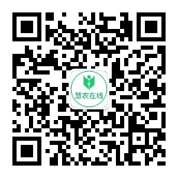 商城網(wǎng)站建設(shè)